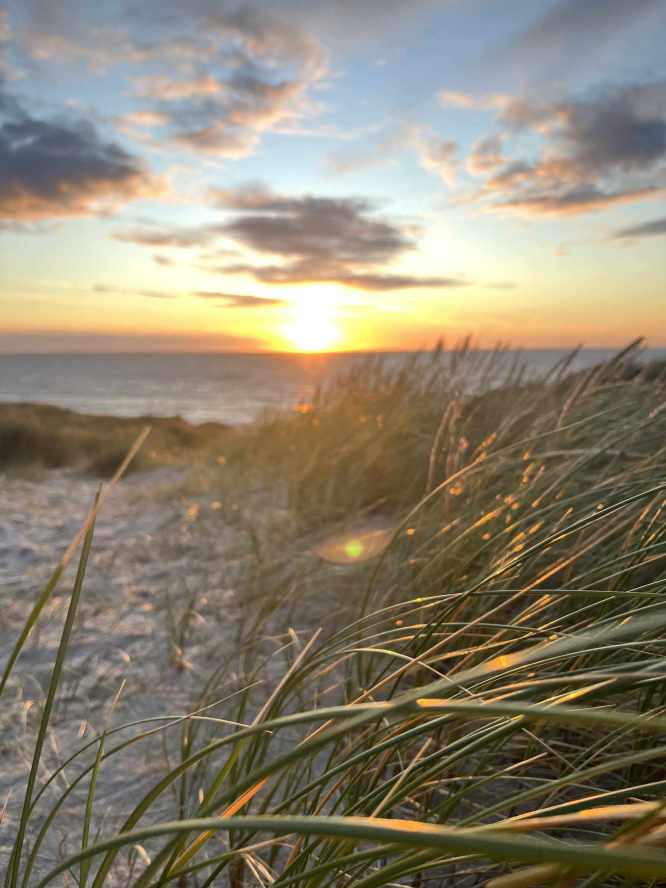 Abendstimmung am Strand mit Dünengras, Copyright Christina Müller